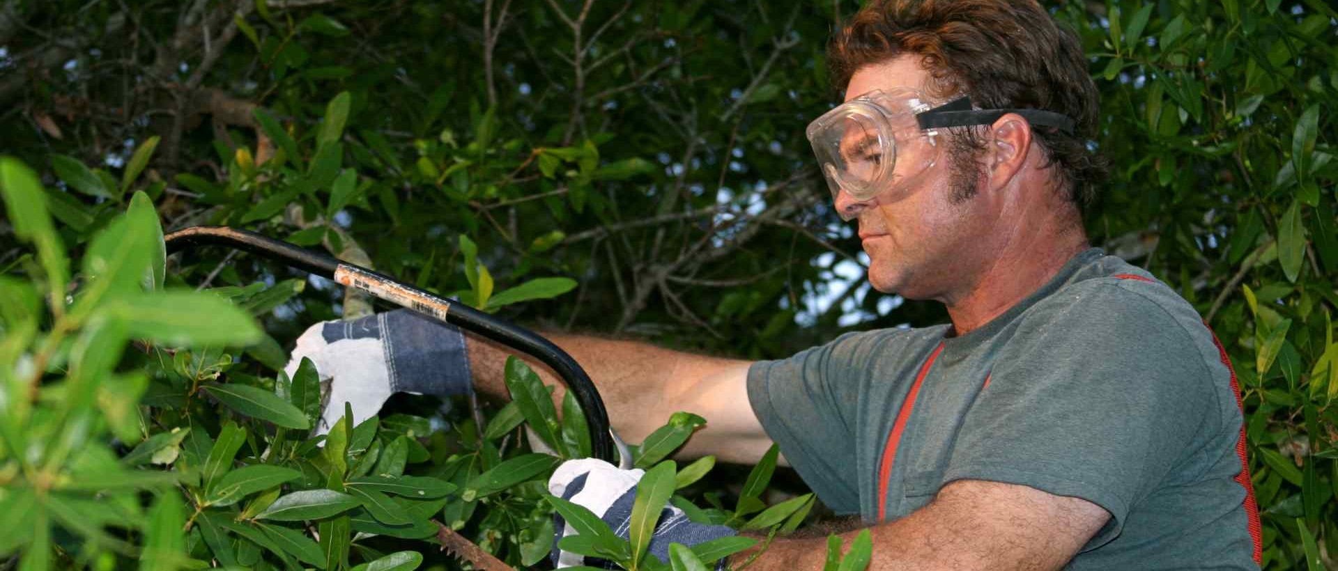 garden clearance N7